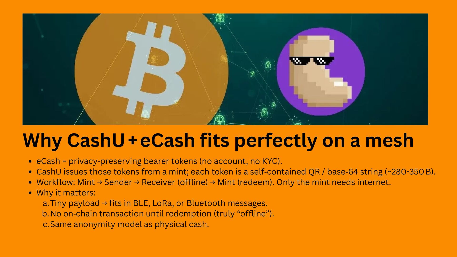 Slide 9 of 15 from 'Bitchat And Chill 2025 08 14' (2025-08-14)
