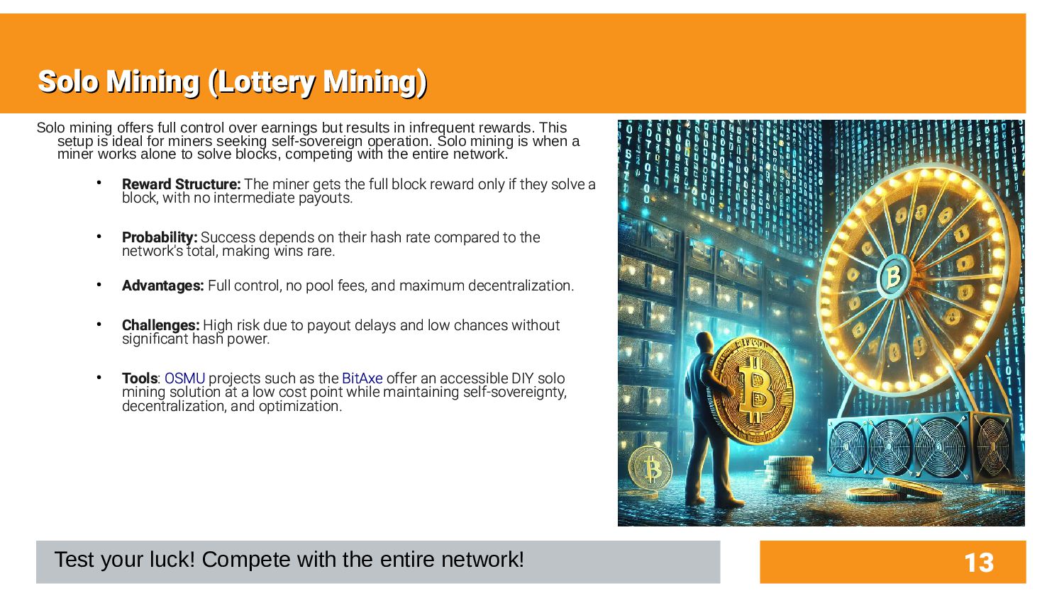 Slide 13 of 34 from 'Round Rock Bitcoiners Meetup' (2026-05-10)