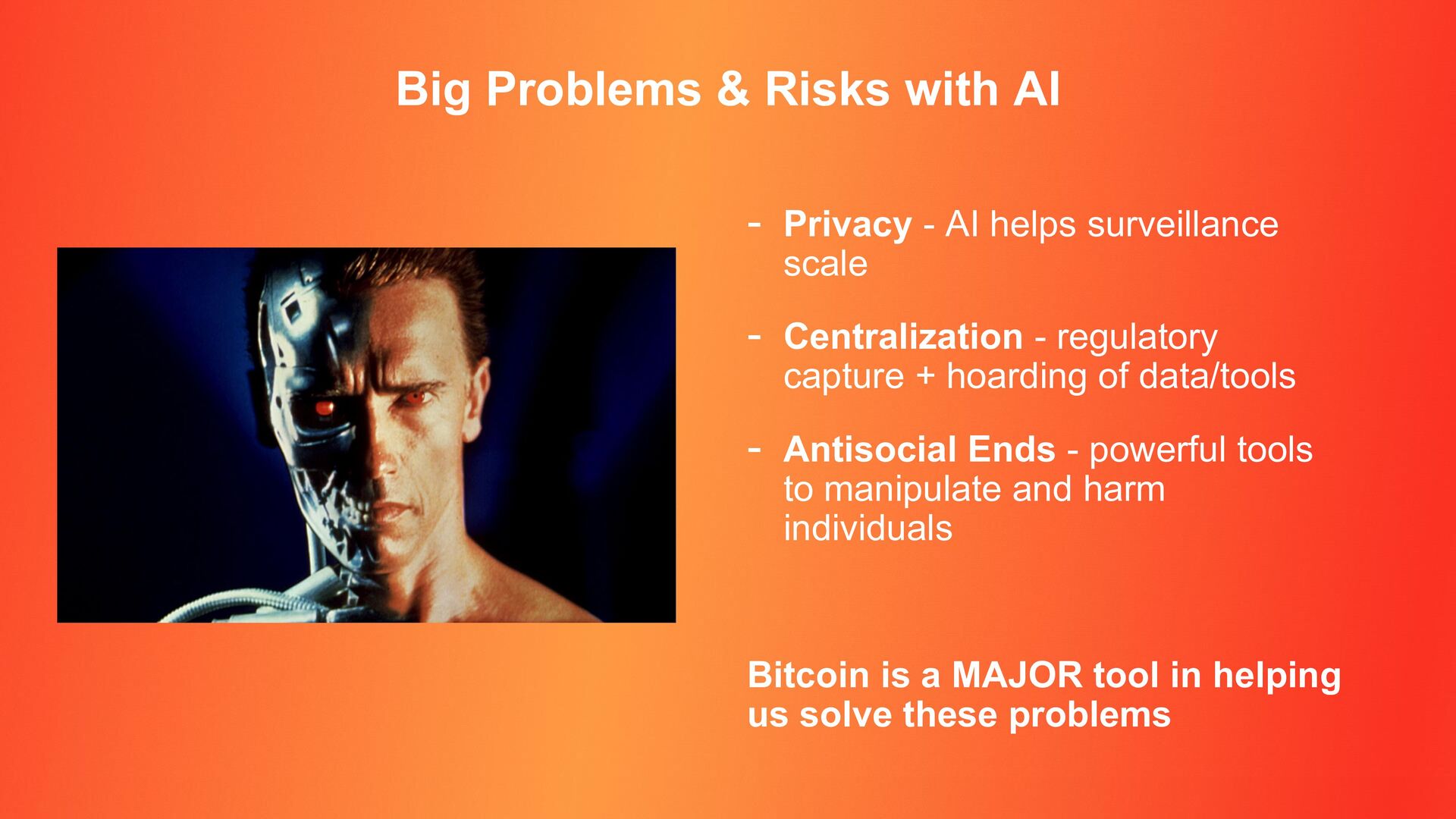 Slide 15 of 25 from 'Why Lightning + AI (Meetup #27)' (2024-08-08, RRBTC). Part of a presentation covering: lightning, ai, casdcr, plebdevs.