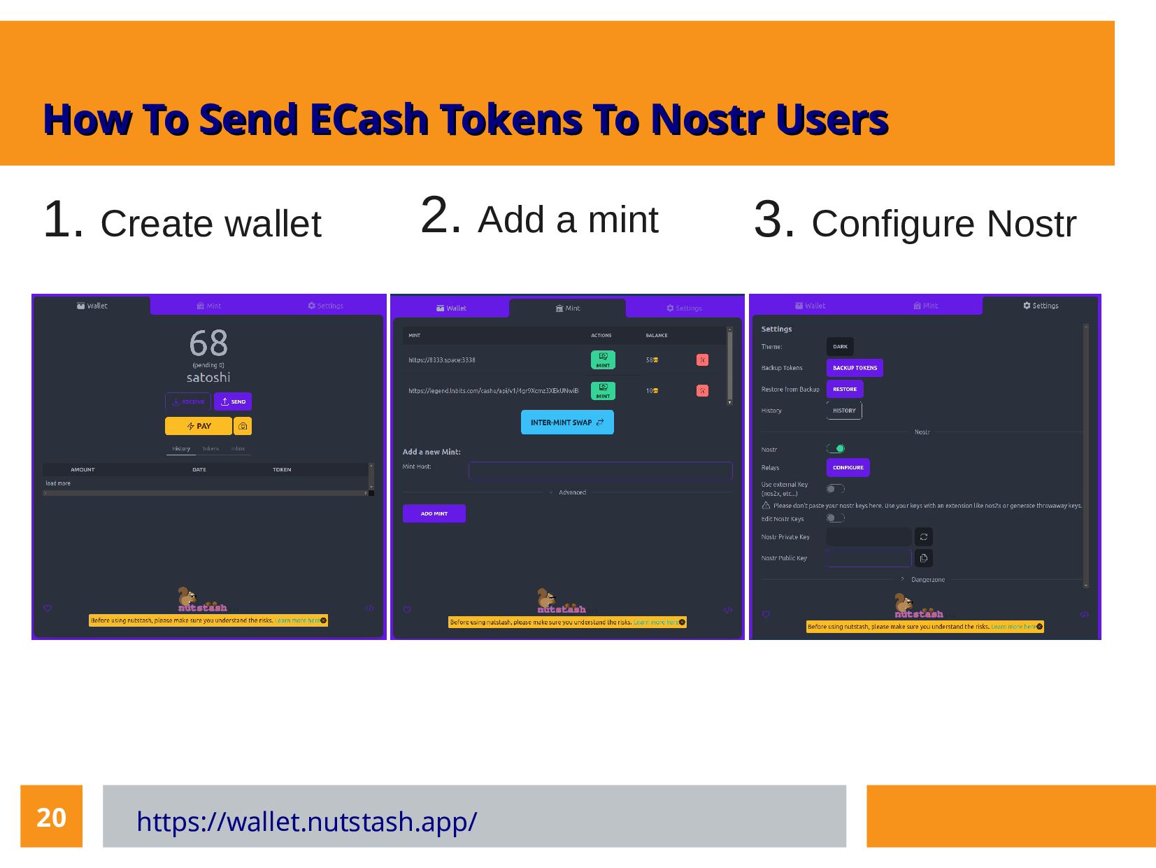 Slide 20 of 21 from 'Cashu Mints Meetup 10 2023 03 09' (2023-03-09)
